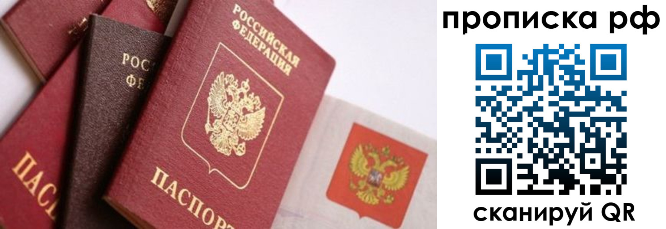 найти адрес прописки в Звенигово